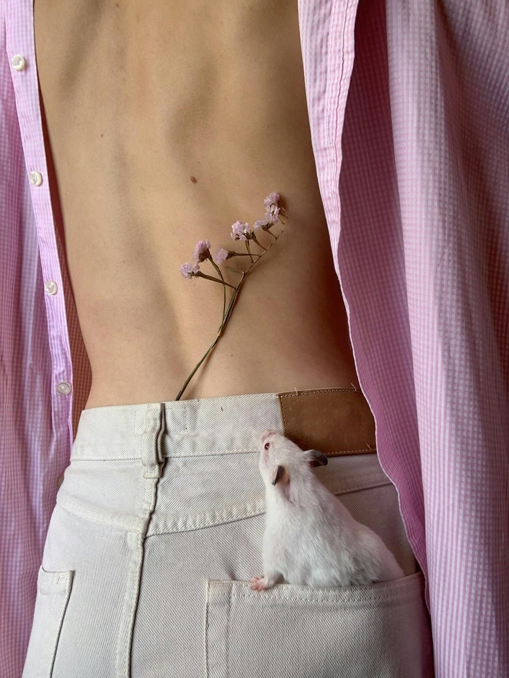 gambian pouched rat size