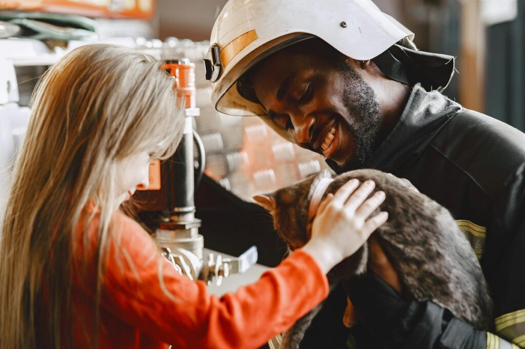 emergency pet care