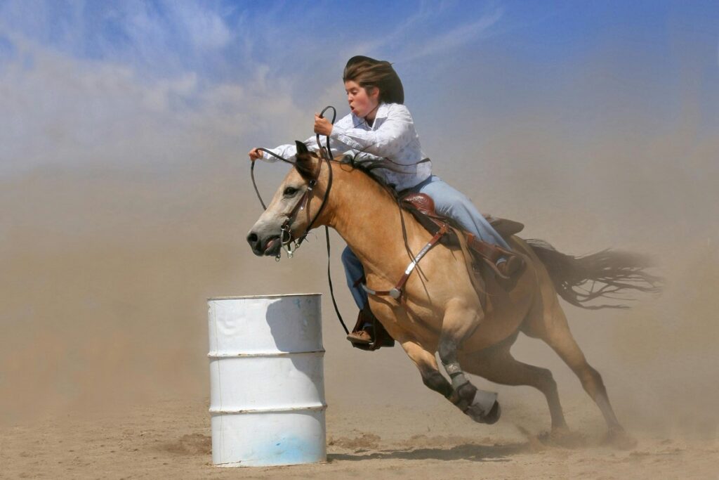 Quarter Horse breeds