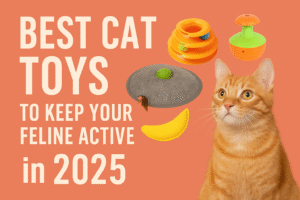 Best Cat Toys